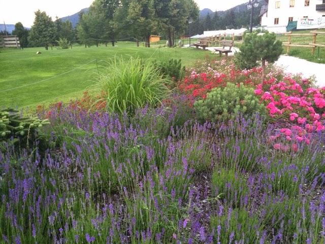 Ristorante Ilija Golf Club Tarvisio